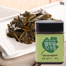 담마주우