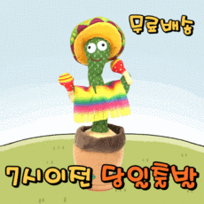 선인장인형