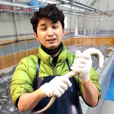 풍천 장어 자포니카 민물장어 1kg, 풍천장어 1kg(손질후 750g 내외)