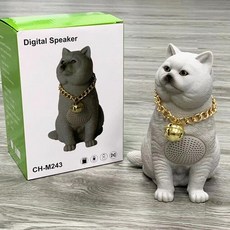 크리에이티브pebblev3