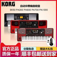 코르그pa1000