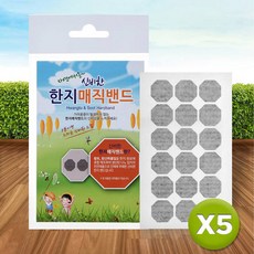 한지썸머밴드