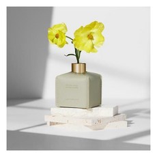 르몽도르레더디퓨저