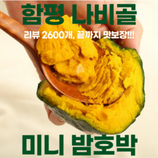 나비골 미니밤호박 (무료배송) 2024햇 보우짱, 1박스, 4KG