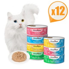 퍼스트메이트 그레인프리 고양이캔 156g x12 주식캔, 4.연어 156g x12