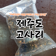생봄