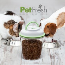 반지호수가이드