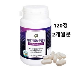 차즈기효능
