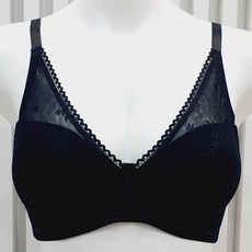 비비안후크