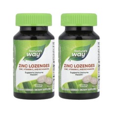 네이처스웨이 징크 아연 녹여먹는 산딸기맛 60사탕 2개 에키네시아 비타민C Zinc
