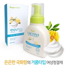 템포 락티나폼 여성청결제 280ml, 단일상품