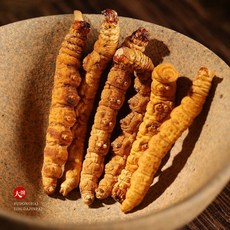 복동해 중국 특급 동충하초 효능 1g, 1개