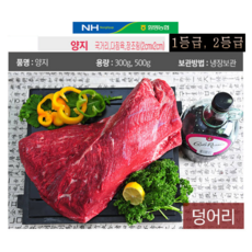 농협안심한우 양지모음, 1개, 500g 덩어리(1등급)