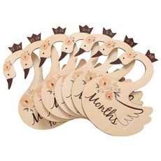 콩제슬래드성장기록카드