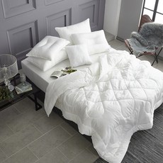 레노마울트렐ss