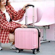 코스트코샘소나이트캐리어