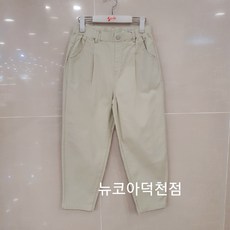 소이과슈