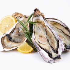 산지직송 제철 통영 싱싱한 석화 각굴 5kg, 1개