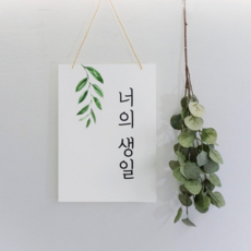 돌족자
