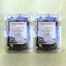 청운당농산 지리산 야생 참 당귀차 2팩 자연산 참당귀 뿌리, 100g, 1개입, 2개
