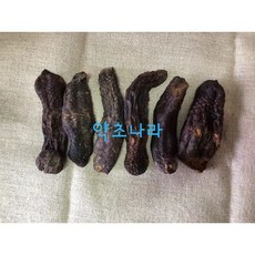 육종용