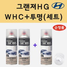 hg300순정앰프