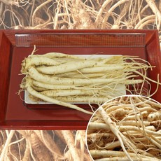 청정 영주소백산도라지(흙 세척 깐도라지) 산지직송, 1팩, 세척약도라지-특상품_1.5kg