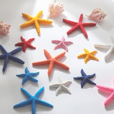 라이트앤 불가사리 소라 모형 바다오브제