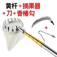 복숭아체험