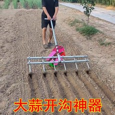 마늘재배