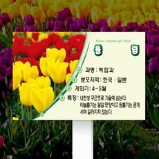 07b4ea31b42f368efa05fe0821b430f57658259d932fe00be2cbd9eff02a.jpg