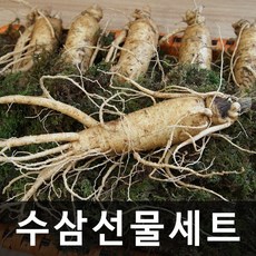 청명네이처 금산인삼 수삼선물세트 (특대) 750g (6~7뿌리), 1개