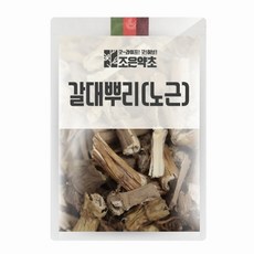 노근티백