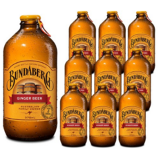 분다버그 진저비어 탄산음료, 375ml, 48개