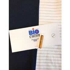 바이오큐틴앰플