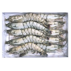 블랙타이거새우 500g 10미