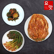  요맛김치 전라도 포기김치9kg+파김치1kg+오이부추김치1kg, 단품 