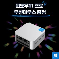 피코펄스 미니PC n100 (win11 포함), DDR5 8G SSD 256GB