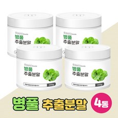 산반무늬병풀