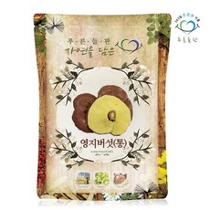 푸른들판 국내산 건조 영지버섯 500g 영지원형 영지 차, 1개