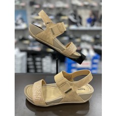 베어파우로즈마리