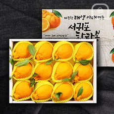 국내산 명절과일 선물세트 한라봉 5kg 설날과일 단체선물, 한라봉 선물세트 5kg