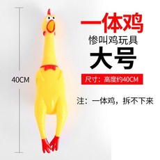 두다피트니스