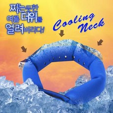 할인)얼음스카프 2020년형 청운 쿨넥 DS