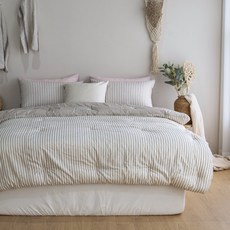 캐논ae-1소프트버튼