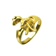 순금거북이반지