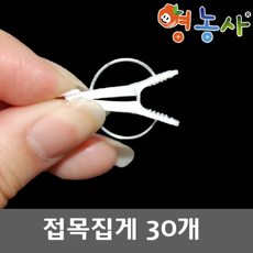 접목집게 (30개)- 줄기유인용집게 집게 줄기집게