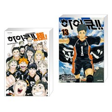 하이큐파이널가이드북