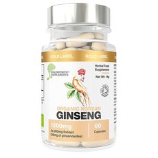 브레인파워빌더스