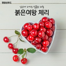 칠레산생체리700g TOP01